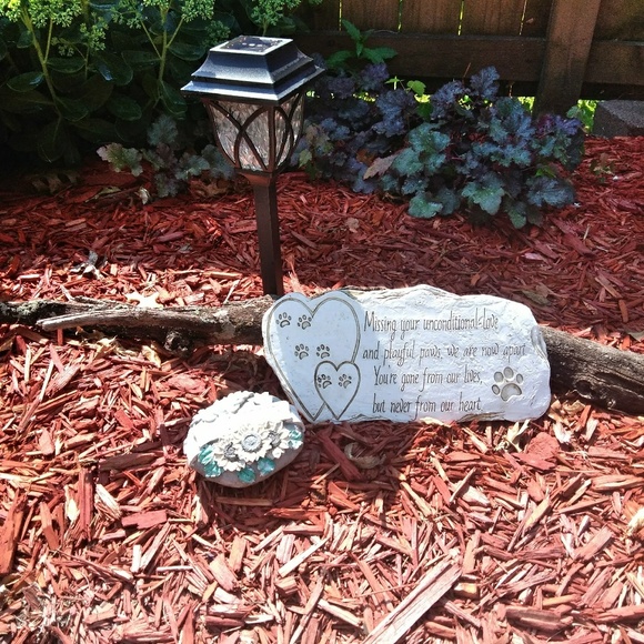 💖Meet Posh Ambassador Laurie💖 - Picture 4 of 10